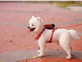 Bio-Based Dog Harness And Leash Set