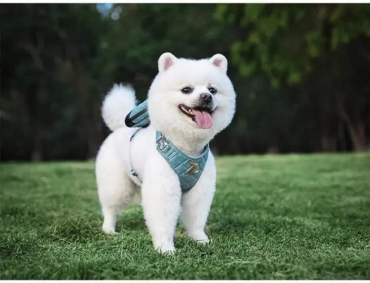 Bio-Based Dog Harness And Leash Set