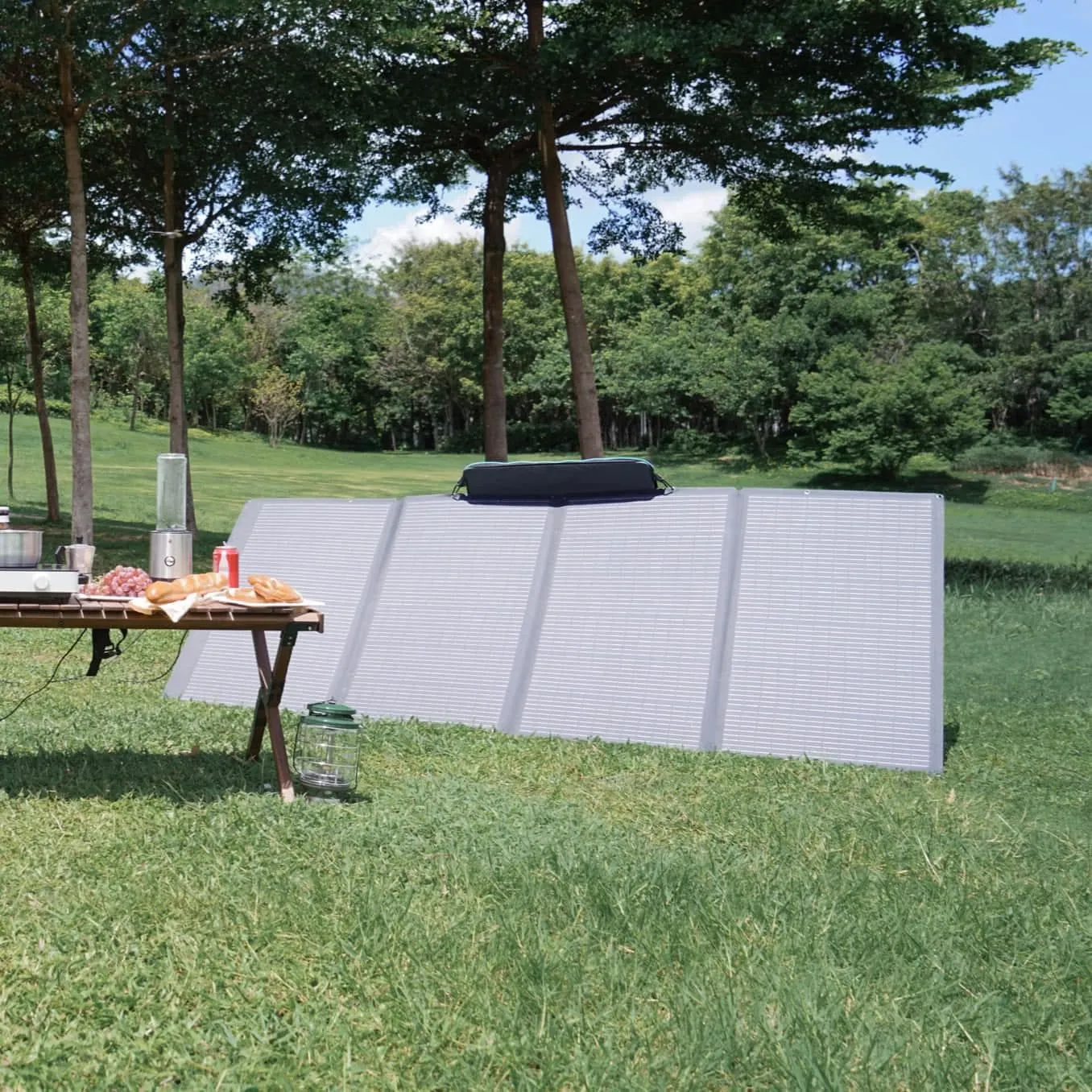 Free EcoFlow 400W Portable Solar Panel   EcoFlow Solar Panel Carrying Case   EcoFlow Solar to Low-PV Port Charging Cable for EcoFlow DELTA Pro Ultra ($888.97 Value)