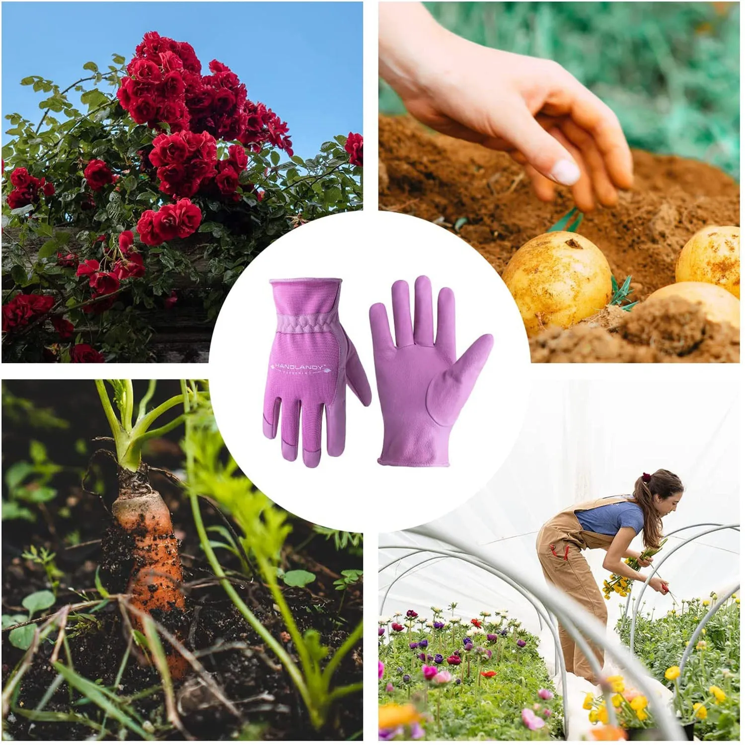 Handlandy Wholesale Ladies Garden Gloves Improves Dexterity Breath Plant 512324 (120 Pairs)