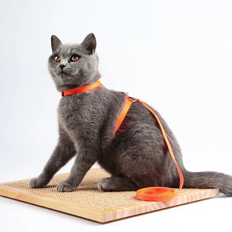 Secure Your Kitten with Our Adjustable Cat Harness  Leash